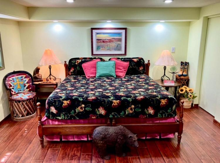 تشيني Trail Boss King Ensuite-Prairie Rose B&B - 1200 Sq Ft Suite المظهر الخارجي الصورة